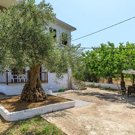 Skopelos Evergreen Apartments Stafylos Exterior photo