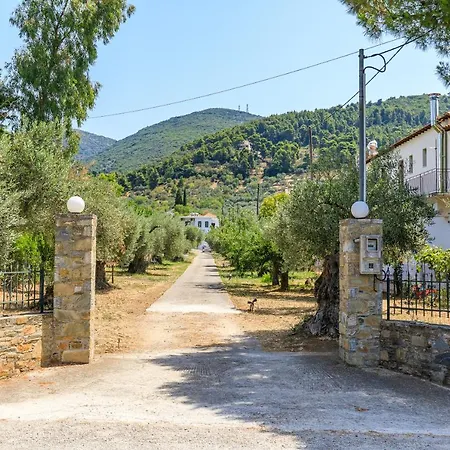 Skopelos Evergreen Apartments Stafylos Exterior photo