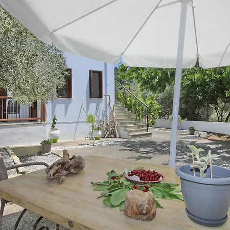 Skopelos Evergreen Apartments Stafylos Exterior photo
