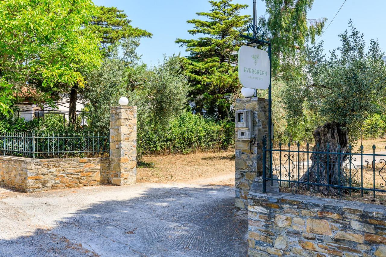 Skopelos Evergreen