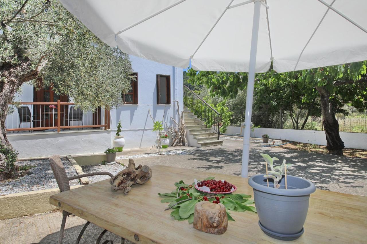 Apartment Skopelos Evergreen