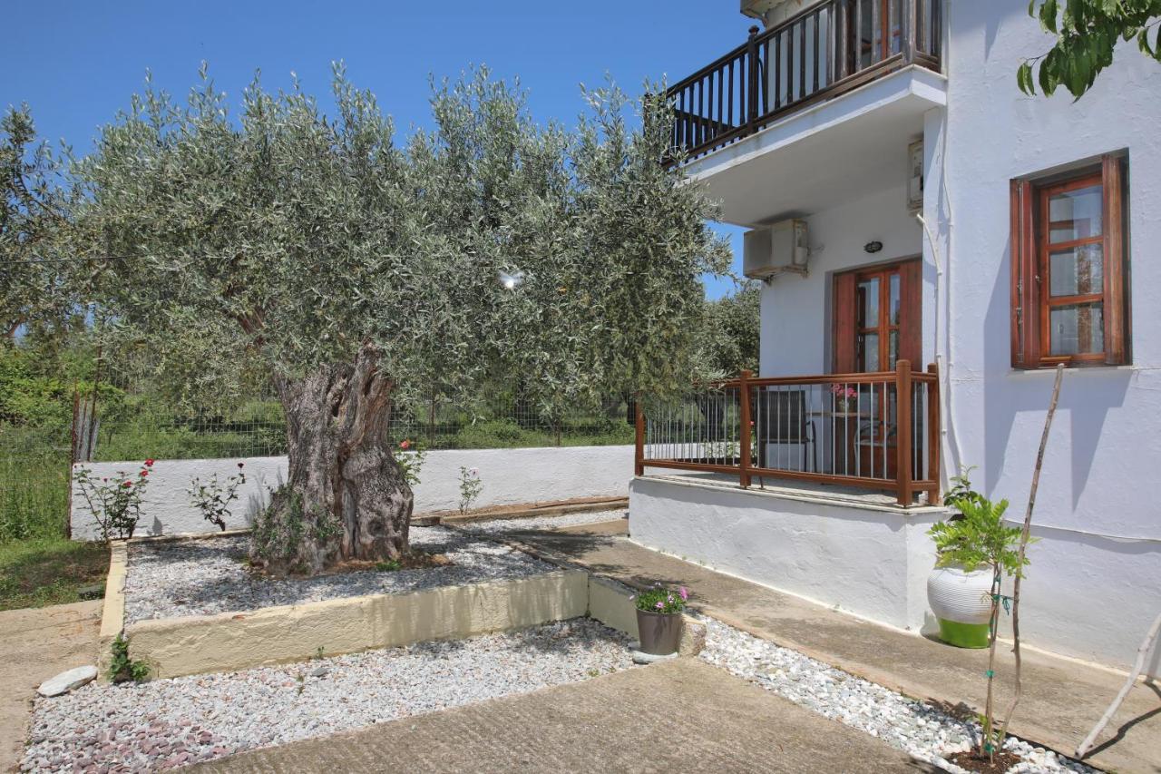 Skopelos Evergreen * Stafylos