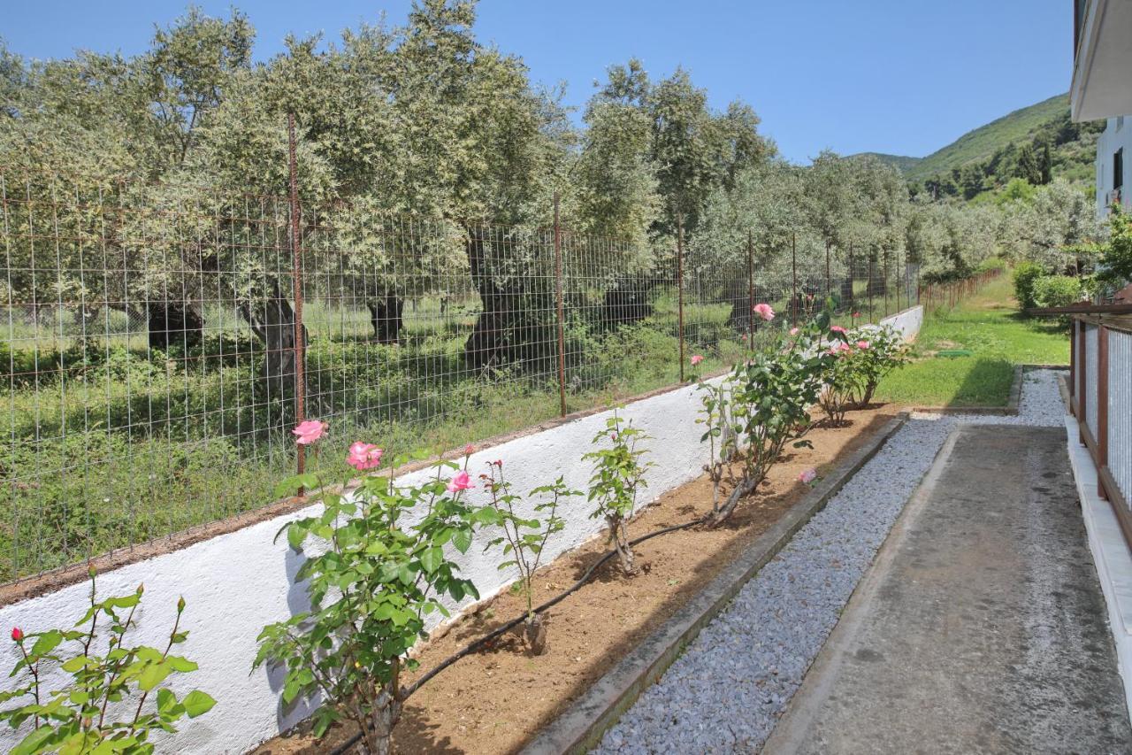 Skopelos Evergreen Apartment Stafylos
