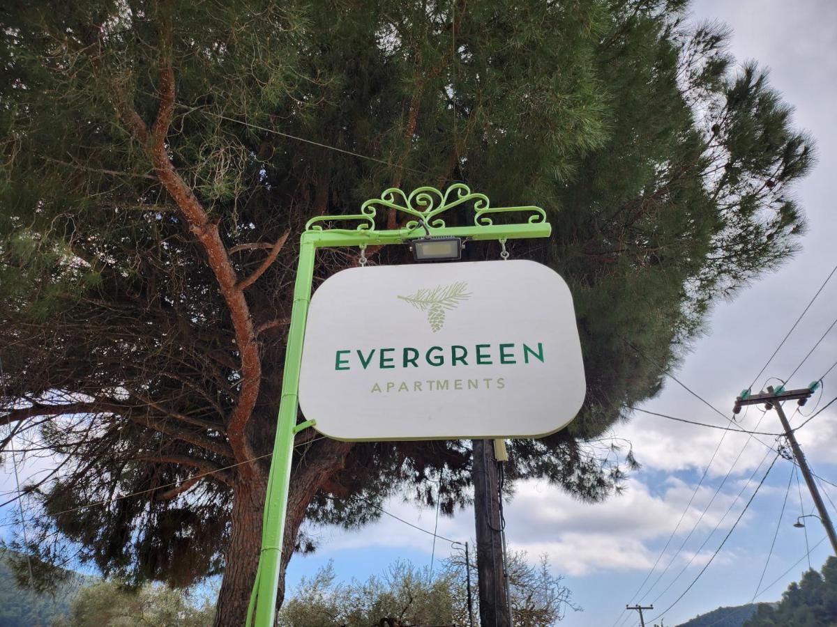 Skopelos Evergreen Apartment *